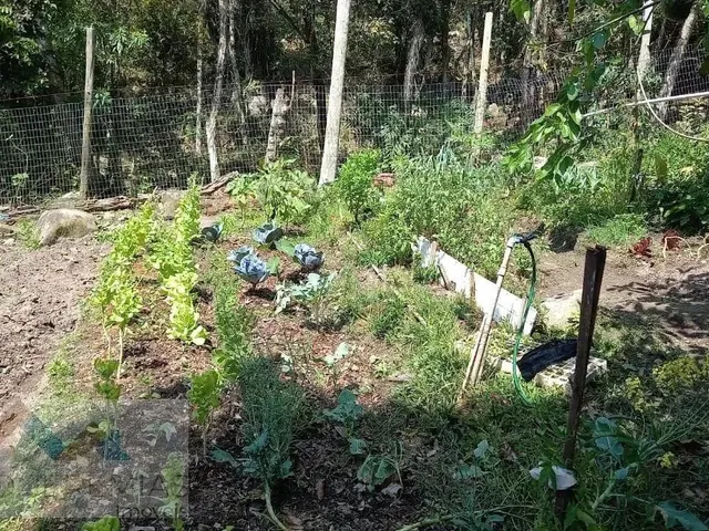 Imagem 8: Sítio À Venda em Vargem do Bom Jesus, Florianópolis: 118M², 3 Quartos, Suíte, 2