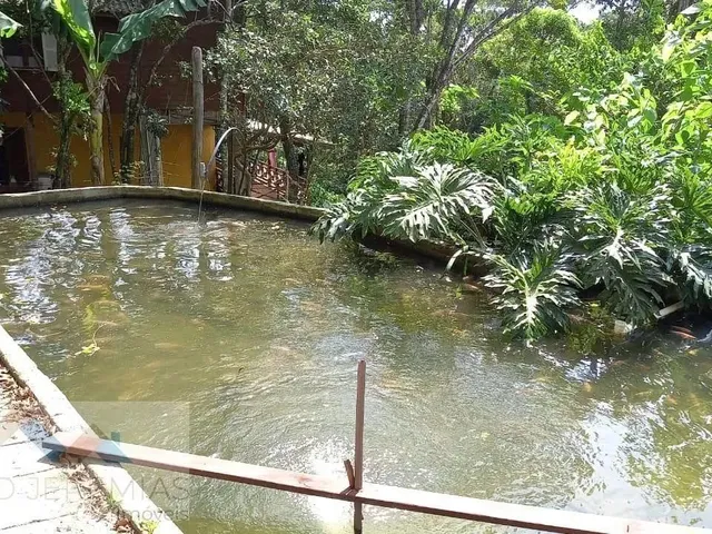 Imagem 5: Sítio À Venda em Vargem do Bom Jesus, Florianópolis: 118M², 3 Quartos, Suíte, 2