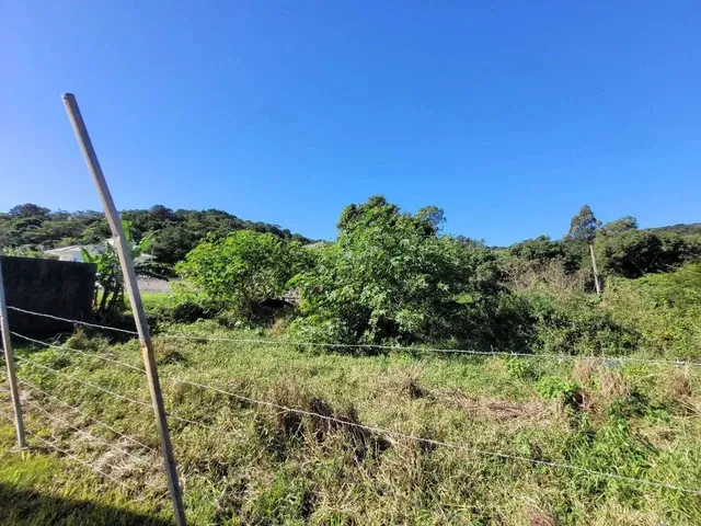 Imagem: Terreno com Viabilidade Construtiva no Norte