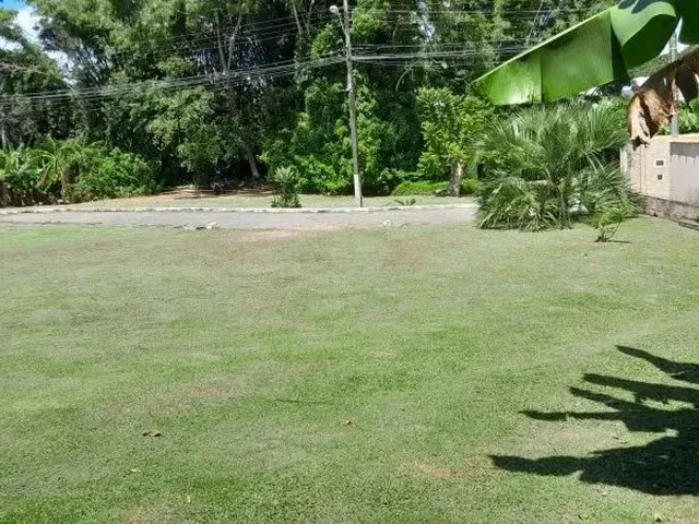Imagem 7: Terreno Residencial em Florianópolis - Sc, Sambaqui