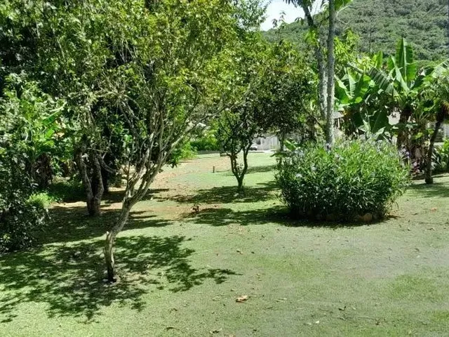 Imagem 4: Terreno Residencial em Florianópolis - Sc, Sambaqui