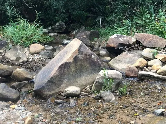 Imagem 12: Ref. 375 Terreno Bairro Ratones, Florianópolis/Sc