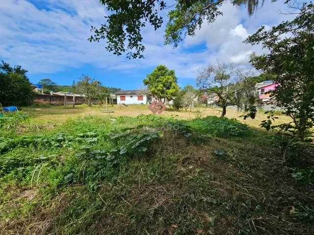 Imagem: Terreno Bairro Cachoeira do Bom Jesus