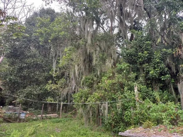 Imagem 4: Terreno em Condomínio na Cachoeira