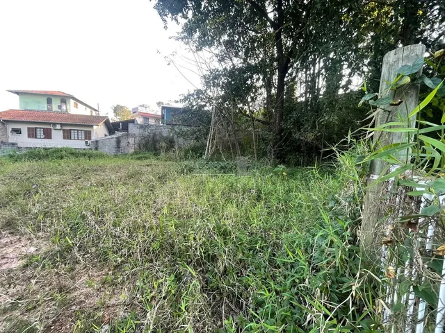 Imagem 5: Terreno, Santo Antônio de Lisboa