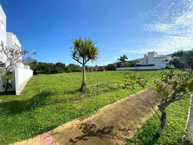 Imagem 10: Um dos Últimos Terrenos de 750 M² em Jurerê Internacional