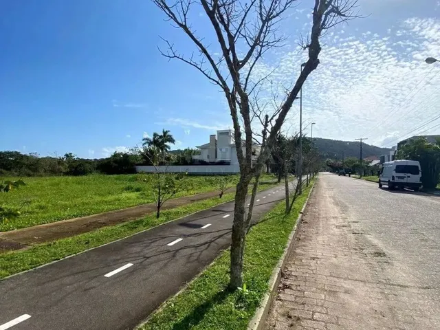 Imagem 5: Um dos Últimos Terrenos de 750 M² em Jurerê Internacional
