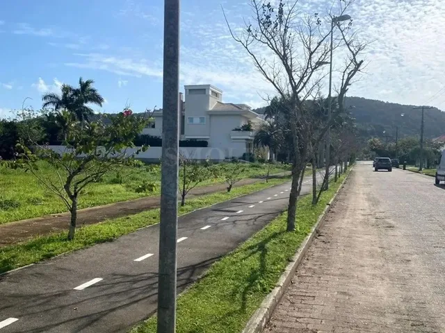 Imagem 12: Um dos Últimos Terrenos de 750 M² em Jurerê Internacional
