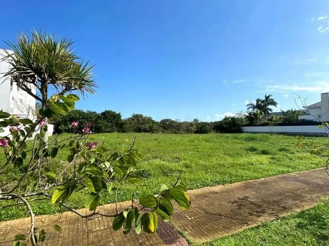 Imagem 15: Um dos Últimos Terrenos de 750 M² em Jurerê Internacional