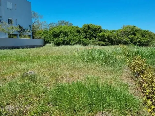 Imagem 6: Um dos Últimos Terrenos de 750 M² em Jurerê Internacional