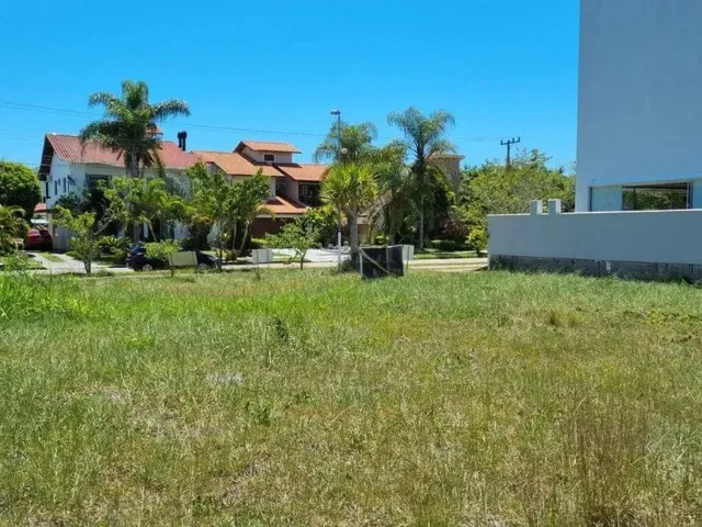 Imagem 11: Um dos Últimos Terrenos de 750 M² em Jurerê Internacional
