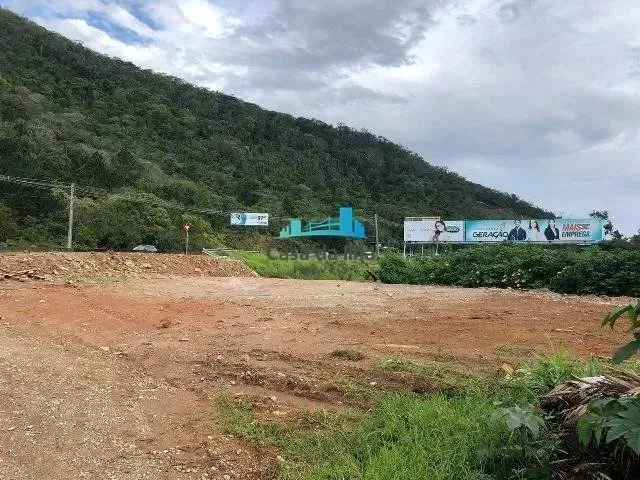 Imagem: Terreno 6.500,00 M² Santo Antônio de Lisboa