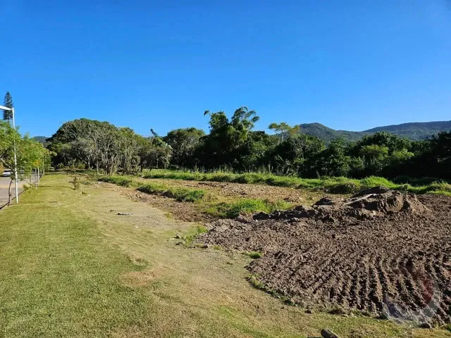 Imagem 16: Terreno de 2464.63M² no Bairro Ratones