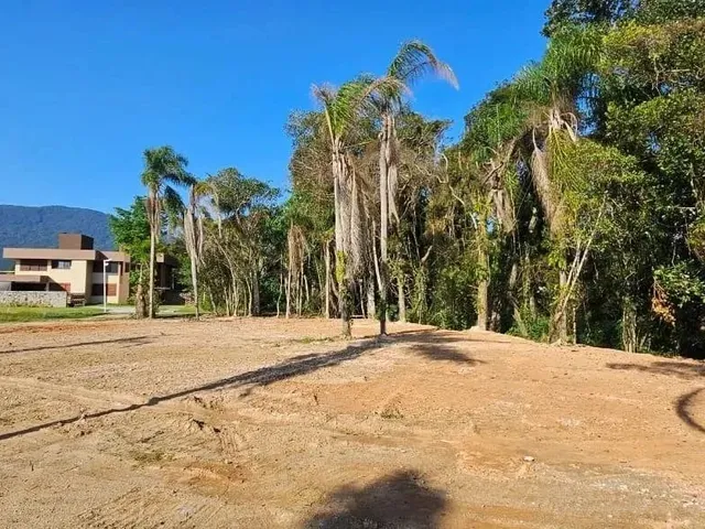 Imagem 9: Terreno de 2464.63M² no Bairro Ratones