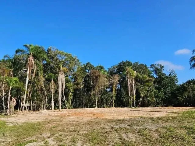 Imagem 10: Terreno de 2464.63M² no Bairro Ratones