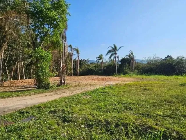Imagem 4: Terreno de 2464.63M² no Bairro Ratones