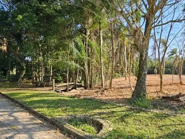 Imagem 11: Terreno de 2464.63M² no Bairro Ratones