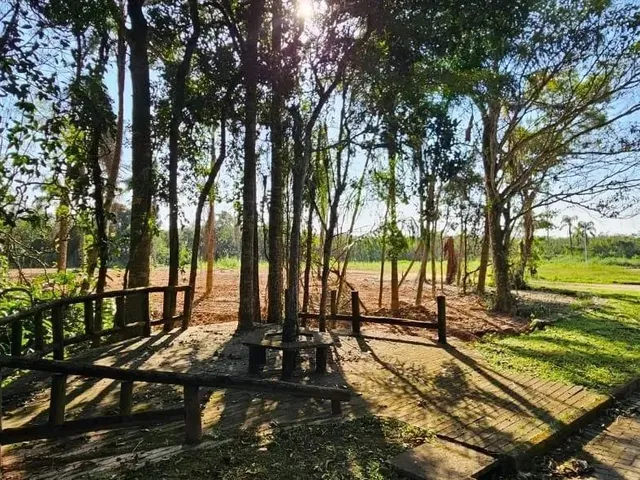 Imagem 14: Terreno de 2464.63M² no Bairro Ratones