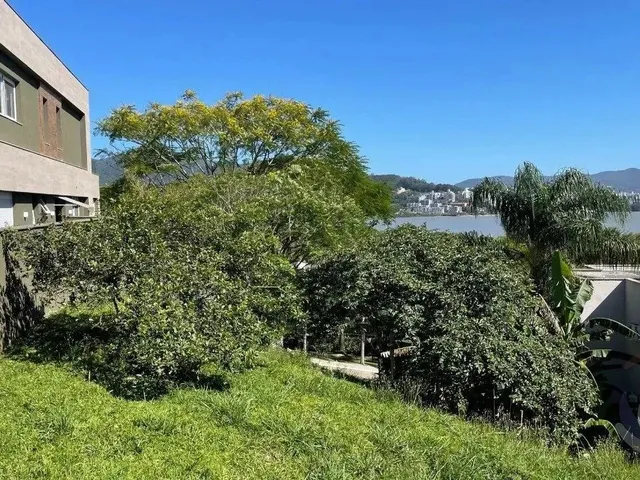 Imagem: Terreno de 1103.84M² no Bairro Cacupé