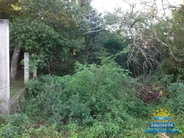 Imagem 1: Terreno Amplo Terreno / lote com venda por R$1.000.000