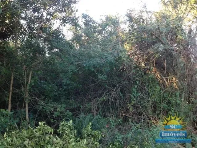 Imagem 8: Terreno Amplo Terreno / lote com venda por R$1.000.000
