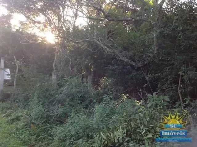 Imagem 5: Terreno Amplo Terreno / lote com venda por R$1.000.000