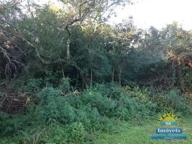 Imagem 3: Terreno Amplo Terreno / lote com venda por R$1.000.000
