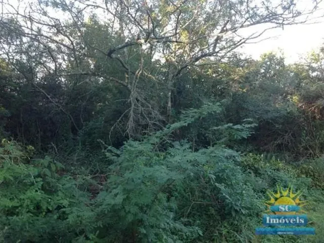Imagem 2: Terreno Amplo Terreno / lote com venda por R$1.000.000