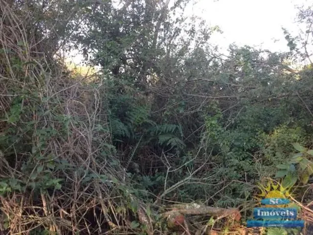 Imagem 7: Terreno Amplo Terreno / lote com venda por R$1.000.000