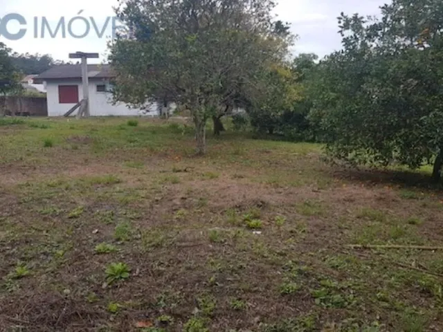Imagem 1: Terreno Plano Ideal para Fazer Um Loteamento