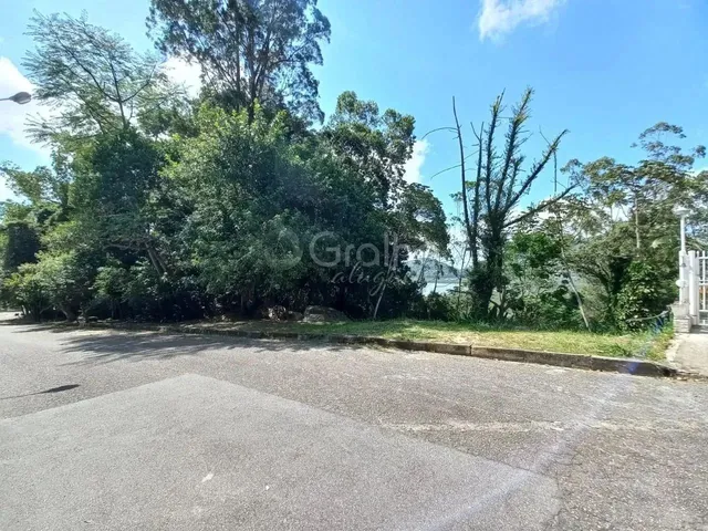 Imagem 8: Lindo Terreno Próximo a Mata Nativa
