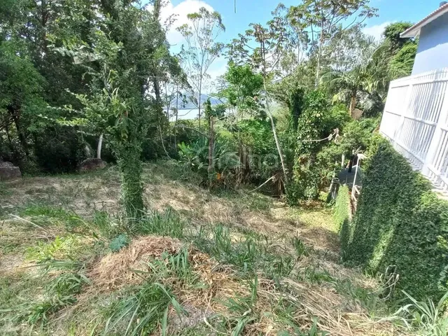 Imagem 2: Lindo Terreno Próximo a Mata Nativa
