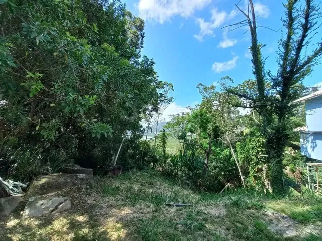 Imagem 6: Lindo Terreno Próximo a Mata Nativa