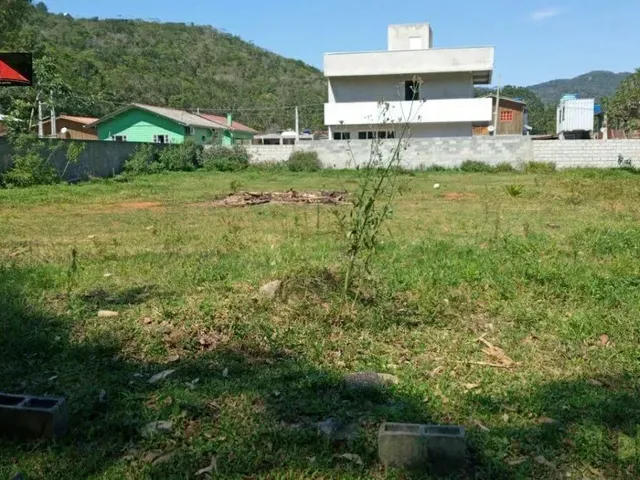 Imagem 8: Cod 0175; Lindo Terreno em Ratones
