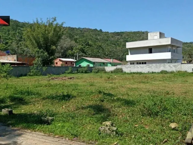 Imagem 10: Cod 0175; Lindo Terreno em Ratones