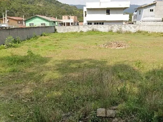 Imagem 6: Cod 0175; Lindo Terreno em Ratones
