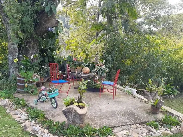 Imagem 14: Ref. 157 Ótima Chácara no Bairro da Vargem Grande, Florianópolis/Sc
