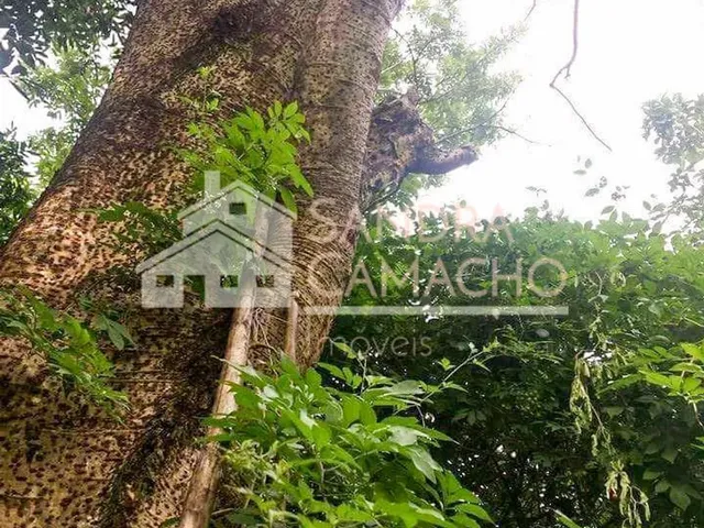 Imagem 5: Sítio para Venda em Vargem Grande
