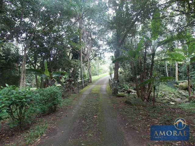 Imagem 7: Belíssima Área de Terra em Ratones, Florianópolis