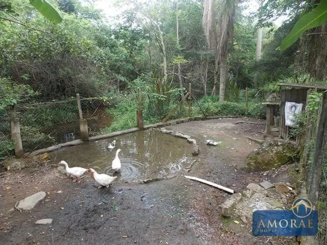 Imagem 10: Belíssima Área de Terra em Ratones, Florianópolis