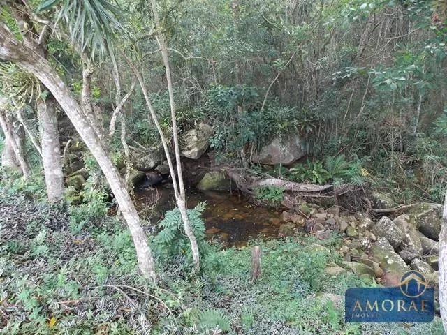 Imagem 13: Belíssima Área de Terra em Ratones, Florianópolis