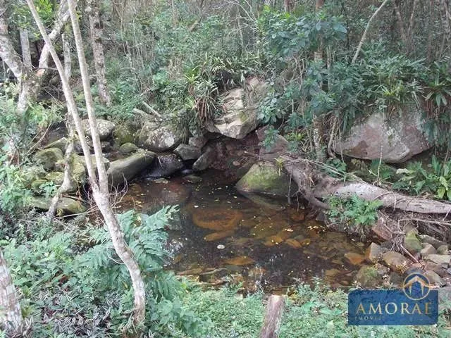 Imagem 15: Belíssima Área de Terra em Ratones, Florianópolis