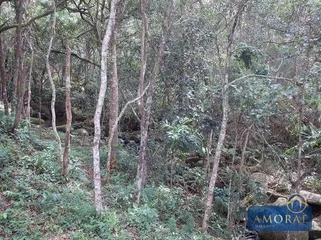 Imagem 16: Belíssima Área de Terra em Ratones, Florianópolis