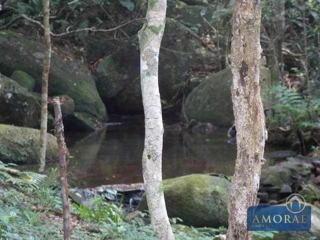 Imagem 12: Belíssima Área de Terra em Ratones, Florianópolis