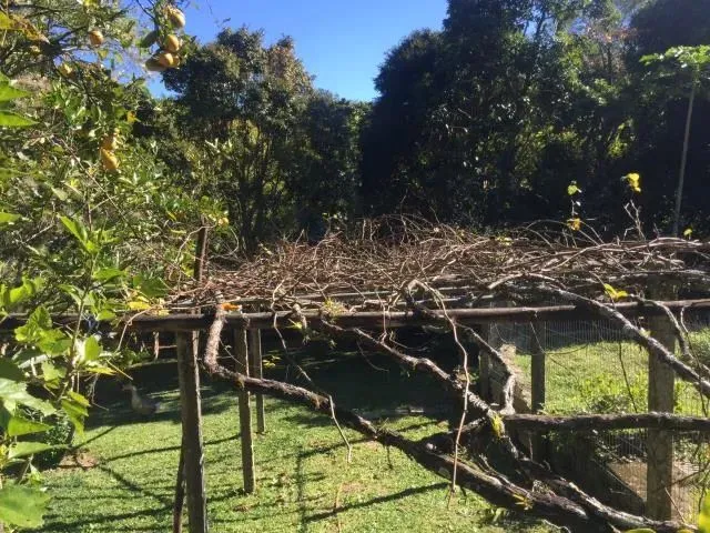 Imagem 13: Sítio - Florianópolis Sc