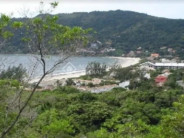Imagem: Terreno À Venda em Ponta das Canas, Florianópolis