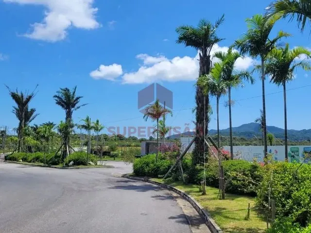 Imagem 11: Terreno À Venda, 450 M² por R$ 570.000,00 - Vargem do Bom Jesus - Florianópolis/Sc