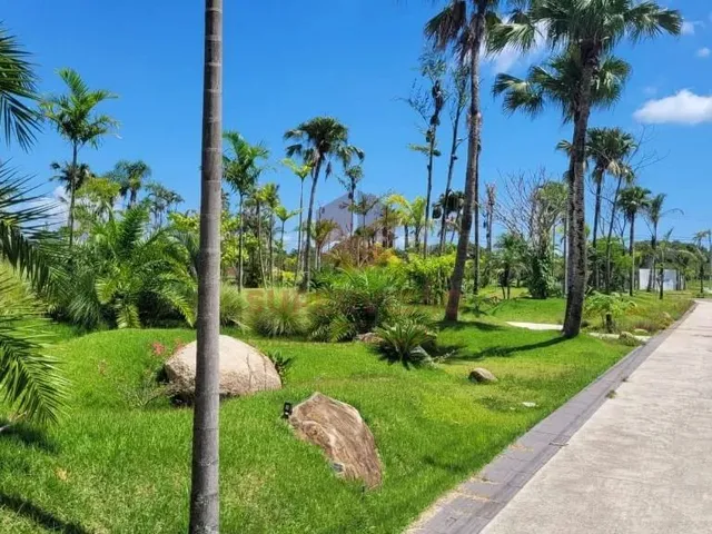 Imagem 16: Terreno À Venda, 450 M² por R$ 570.000,00 - Vargem do Bom Jesus - Florianópolis/Sc