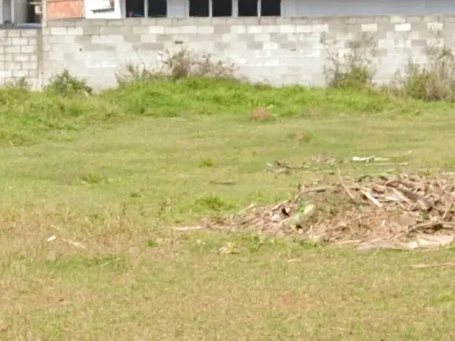 Imagem 2: Ref. 199 Lindo Terreno em Ratones, o Espaço para a Construção Que Você Precisa