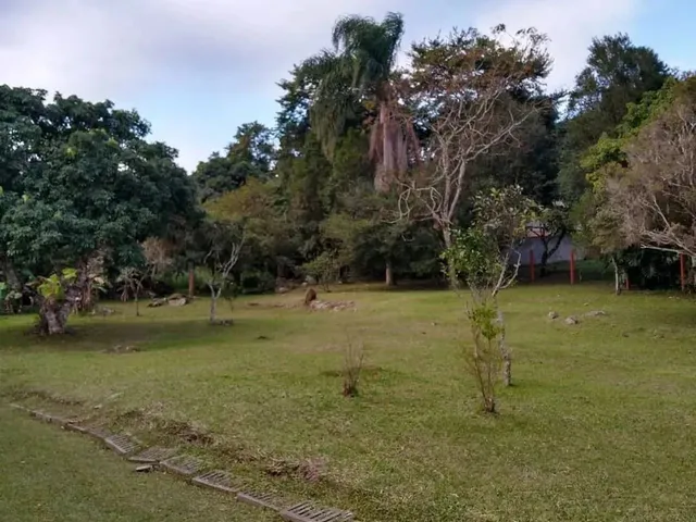 Imagem 13: Ref. 254 Excelente Sítio no Bairro Ratones, para Investir Ou Morar